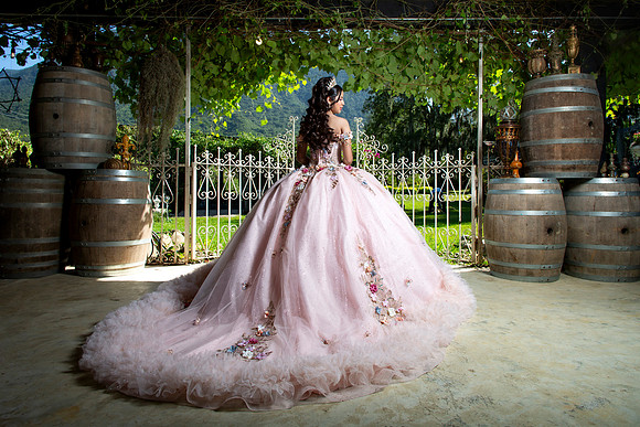#8606 RAMONA ZUÑIGA RAMIREZ_XV FORMAL_VIÑEDO GARZA_BRYAN-8647