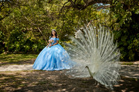 CONTRY#2107 BRENDA CALVILLO XV AZUL SESION FORMAL