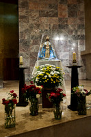 12 MAYO 23_W9A1333