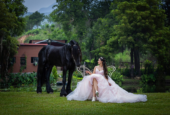 27 MAYO 24 #4085 IRMA YOLANDA GZZ _TR_8850