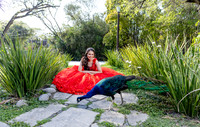 03 MARZO 25#4111 ALICIA ALEJANDRA-0030