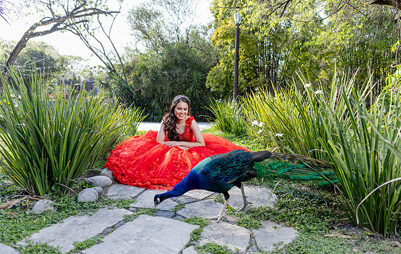 03 MARZO 25#4111 ALICIA ALEJANDRA-0030