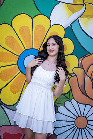 04-11-24 #8270 ALMA CAMPOS _CTR0740