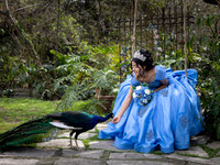 #2386 ASIS CAROLINA- SESION FORMAL