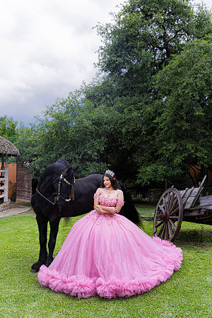 #4137 GRACIELA GALICIA SUAREZ -4260