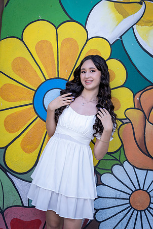 04-11-24 #8270 ALMA CAMPOS _CTR0739