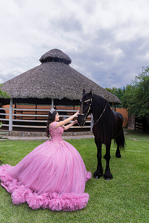 #4137 GRACIELA GALICIA SUAREZ -4244