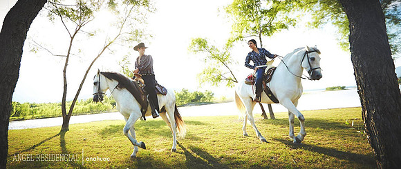 caballos boda 1