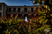 _MG_5017 1