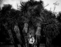 _D0A9186 1