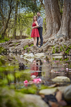 20 FEBRERO 19_MG_3706