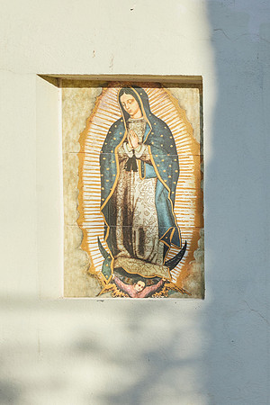 03 NOVIEMBRE 23 _MG_8312