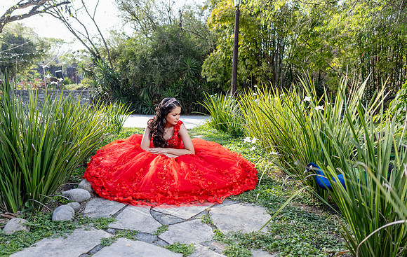 03 MARZO 25#4111 ALICIA ALEJANDRA-0029