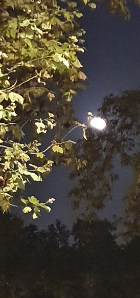20191018_224456