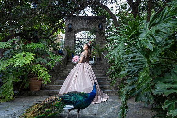 18-12-24 #8066 ROSA ISELA RDZ _CTR0621