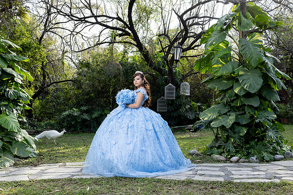 26 NOVIEMBRE 2024 #4108 ADRIANA ABIGAIL SANTANA-1345