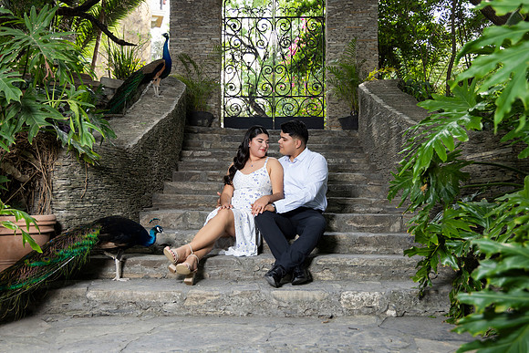 22-04-25 #8258 ANDREA CAROLINA PIÑON _CTR0902