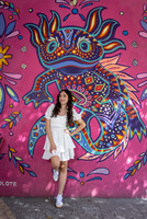 04-11-24 #8270 ALMA CAMPOS _CTR0678
