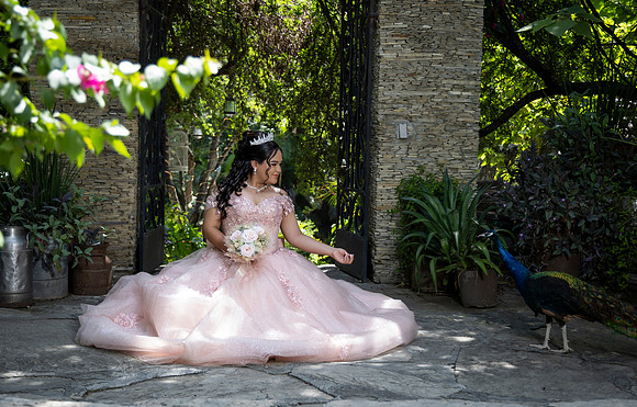 15 JULIO 24 #8178 ANA PATRICIA GZZ _CTR1245