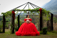 #2466 22 ABRIL 25-3619