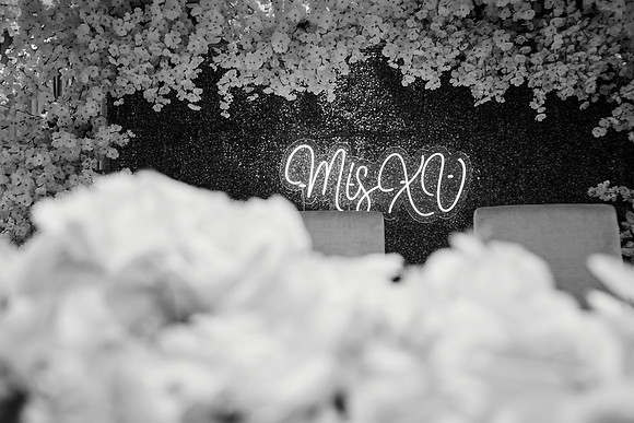 03 NOVIEMBRE 24 _MG_7825