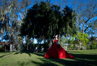 11-12-24 #8272 MA IDALIA GCIA PATENA XF EST Y CALICANTRE CRIZ