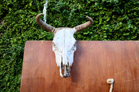 12 OCTUBRE 24_W8A3830