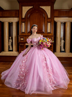 # 8207 JUDITH AGUIRRE 5 03 2025-5417
