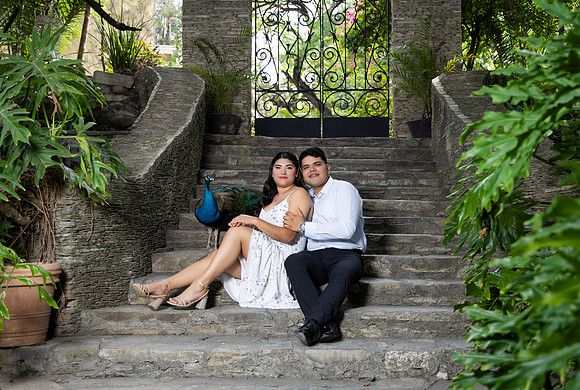 22-04-25 #8258 ANDREA CAROLINA PIÑON _CTR0908