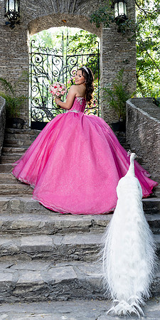 03 ABRIL 25 #8210 MARCELA ROJAS-7685