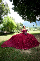 13 AGOSTO 24_W8A8455