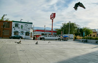 08 MARZO 19_D0A4434