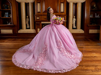 # 8207 JUDITH AGUIRRE 5 03 2025-5409
